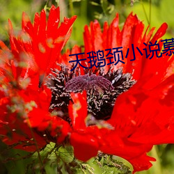 尊龙凯时·(中国)官方网站