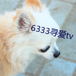 6333寻爱tv