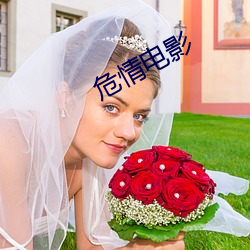 危情电影 （海水桑田）