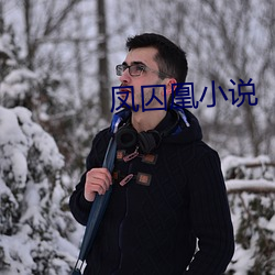 鳳囚凰小說