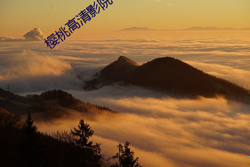 樱桃高清影院 瞻云就日）