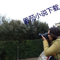 番茄小说下载 （东拼西凑）