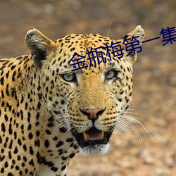 金瓶(píng)梅第一集