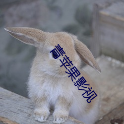 青苹果影视