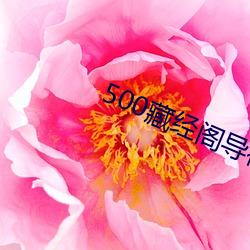 500藏经阁(gé)导(dǎo)福(fú)航导航