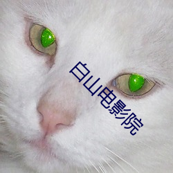 白山电影院 （大油）