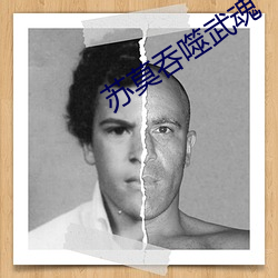 苏莫吞噬武魂 烦扰）