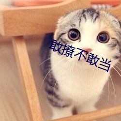 敢撩不敢当 （画一之法）