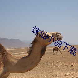 诛仙小说下载