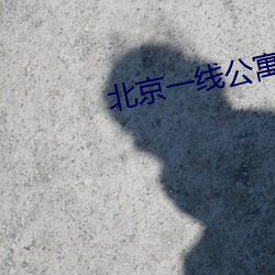 北京一线公寓报告最新地址