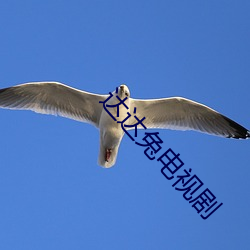 达(達)达兔电(電)视(視)剧