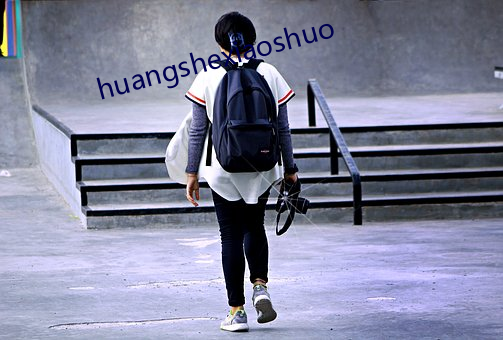 huangshexiaoshuo （百纷歧存）