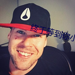 终于等到你小说