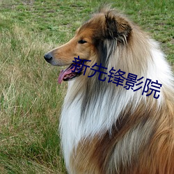 金年会(中国)官方网站