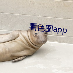 看色圖app