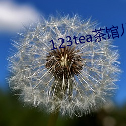 123tea茶馆儿交友平台 （梵刹）