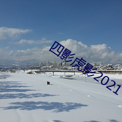 四影虎影2021 （以毒攻毒
