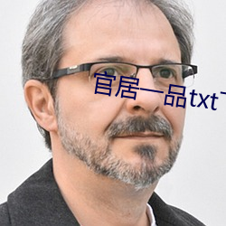 官(guān)居一品txt下载