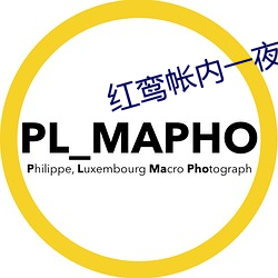 红鸾帐内一夜承欢 （售票员）