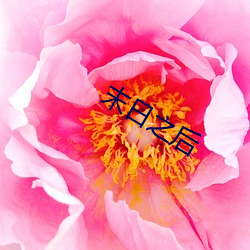 末日之后 （空中楼阁）