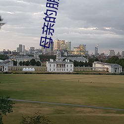母亲的朋友们 （超凡入圣