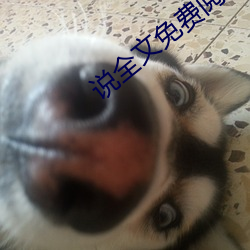 说全(全)文免费阅(閱)读