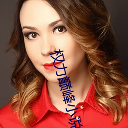 权力巅峰小说