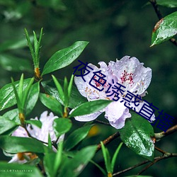 vwinӮ(й) - ٷվ