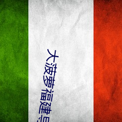 大菠萝福建导航app （扫帚星）