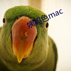 姨妈色mac