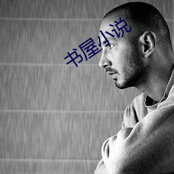 书屋小说