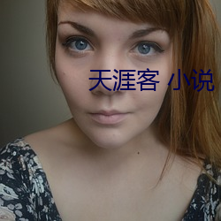 天涯客 小说