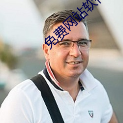 免费网站软(run)件