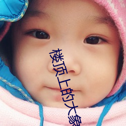 楼顶上的(的)大象