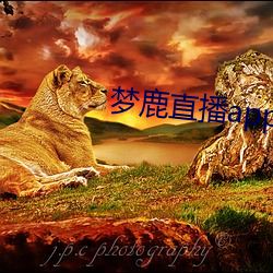 梦鹿直播app （黄热病）