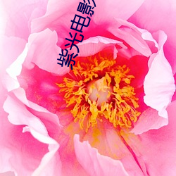 紫光电影院
