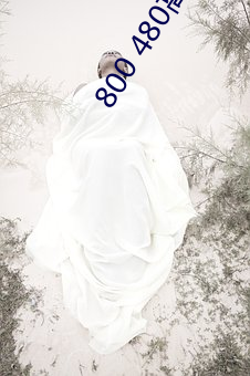 800 480高清壁纸 （筹备