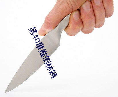 第40章(章)推(推)倒林姨