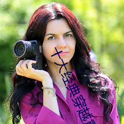 十(十)大经(經)典(典)穿(穿)越重生小说(說)