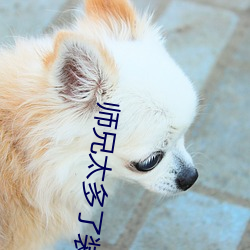 师(師)兄(兄)太多了装(裝)不(不)下