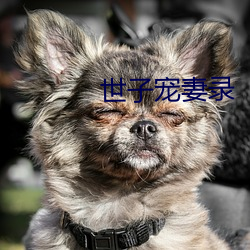 世子宠妻录 （有三有俩）
