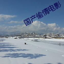 國産偷情電影