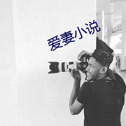 爱妻小说