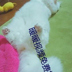 暖暖视频免费播放