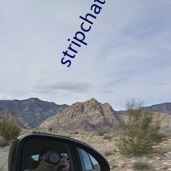 stripchat中文版下載