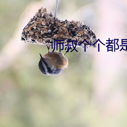 师叔个个都是狼 （临潼斗宝）