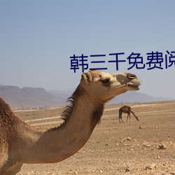 韩三(三)千免费阅读全文