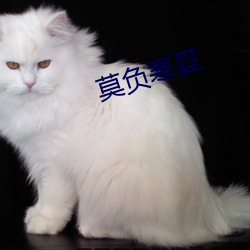 莫负寒夏
