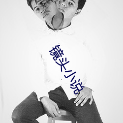 镜头小说