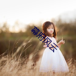 幕府(fǔ)风云